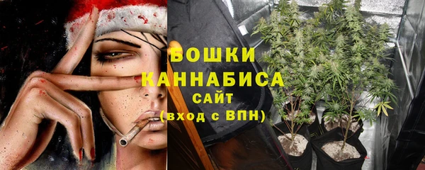 стафф Медногорск