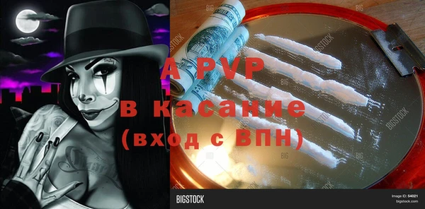 стафф Медногорск
